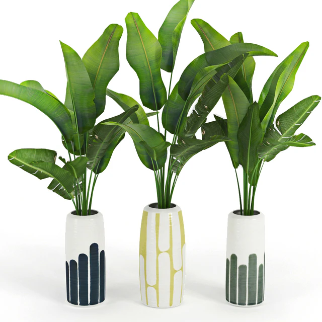 Banana Palm Striped Tall Vase — Descargar