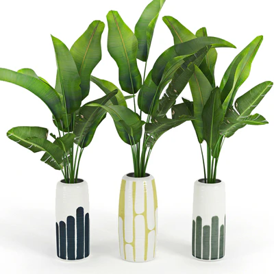 Banana Palm Striped Tall Vase — Ver 1