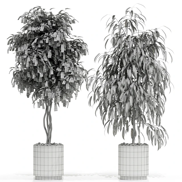Plants collection 600 — Descargar