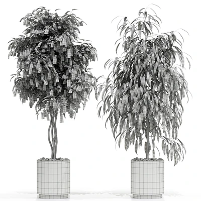 Plants collection 600 — Ver 5