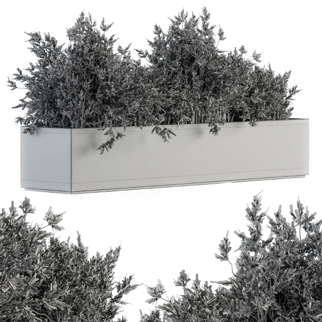 Outdoor Plants tree in Concrete Box - Set 126 — Descargar