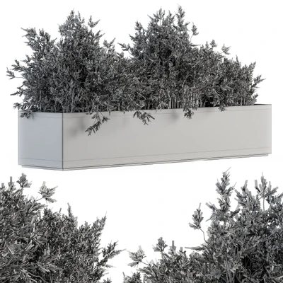 Outdoor Plants tree in Concrete Box - Set 126 — Ver 3