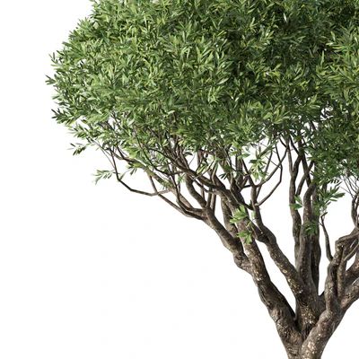 Tree No.89 — Ver 2