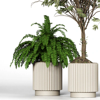 Collection plant 05 — Ver 7