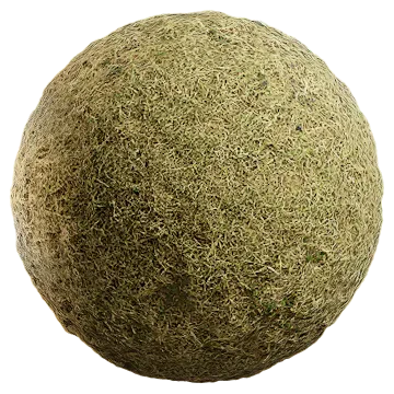 grass dried 058 — Descargar