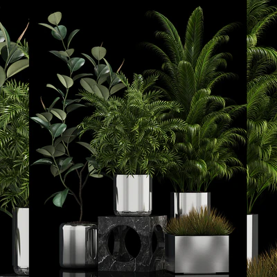 Plants collection 106 — Вид 1