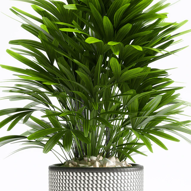 PLANTS 112 — Descargar