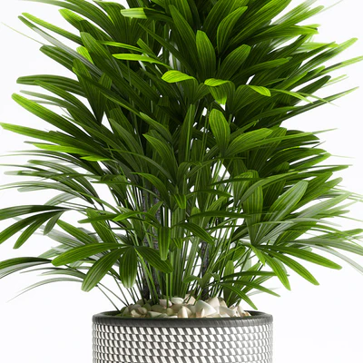 PLANTS 112 — Ver 2