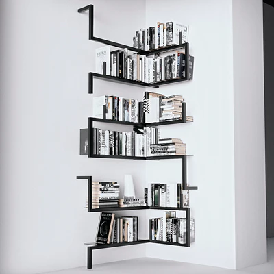 Books on the shelves — Ver 6