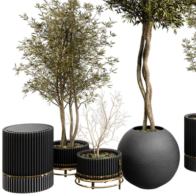 Plant Collection Set 03 — Ver 7