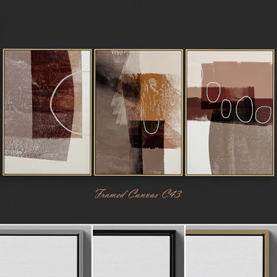 Framed Canvas C-43 — Ver 1