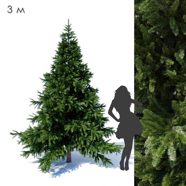 Prickly spruce 3m — Descargar
