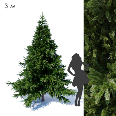 Prickly spruce 3m — Ver 1