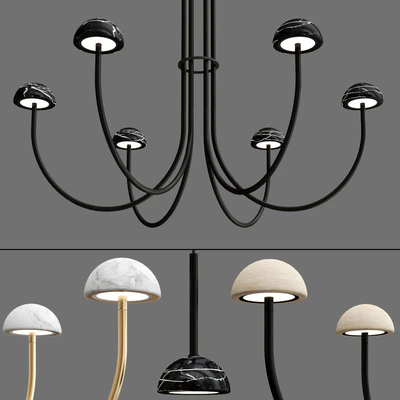DUSSA collection — Ver 5