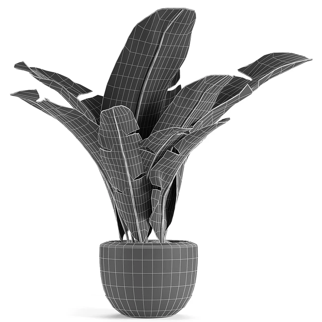 Plant in Pot Flowerpot Exotic Plant — Descargar