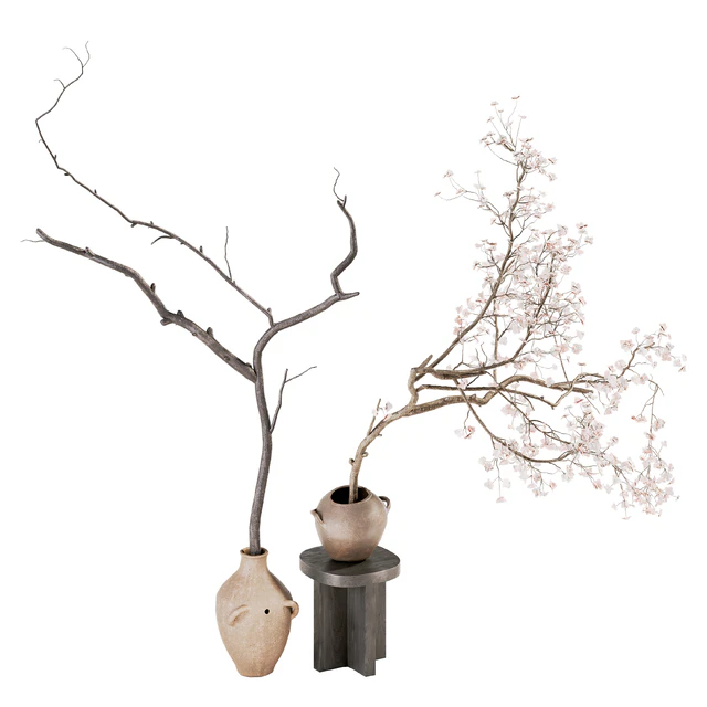 Indoor Plant 03 — Descargar