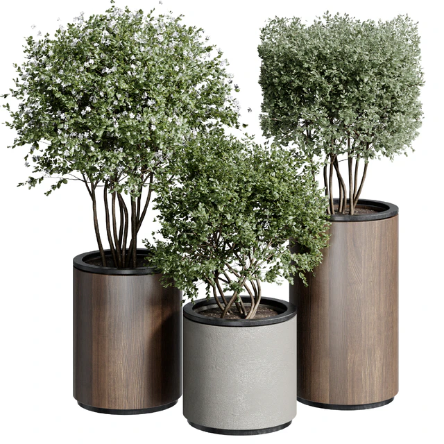 Outdoor Plant 25 — Скачать