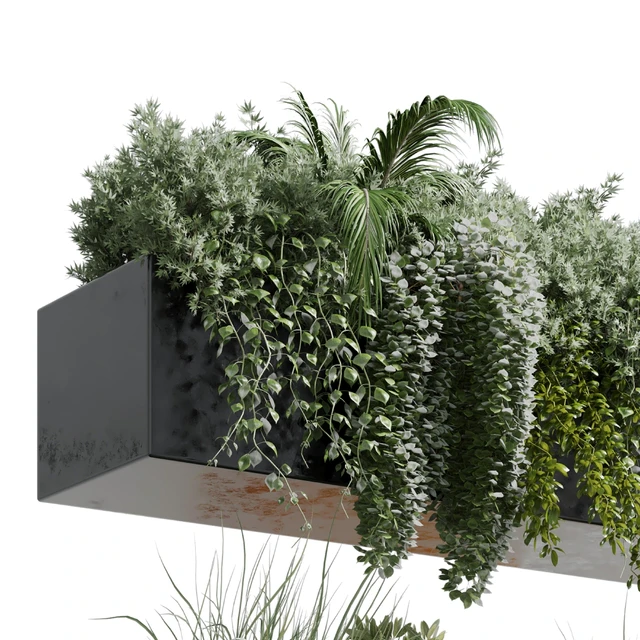 wall plant - hanging plants collection Indoor plant 219 — Descargar