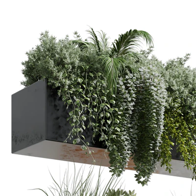 wall plant - hanging plants collection Indoor plant 219 — Ver 5