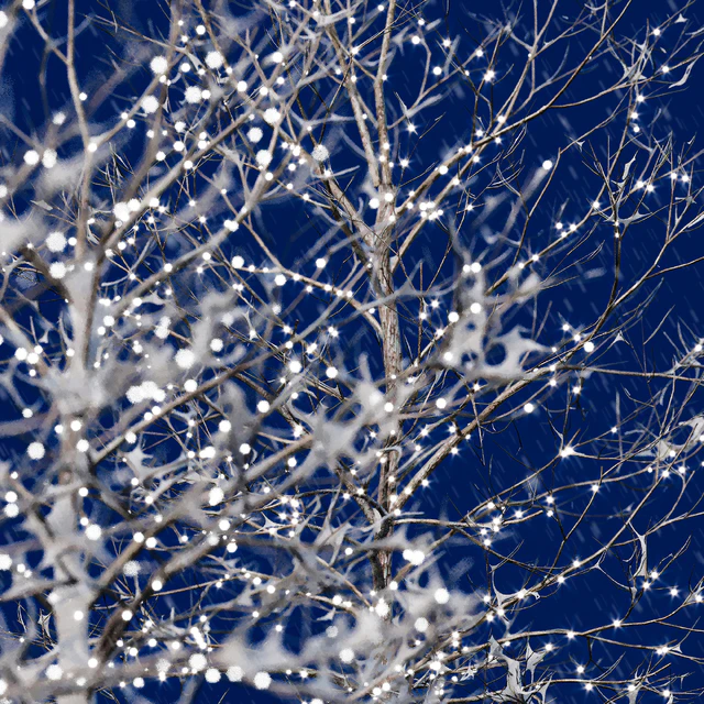 Trees in the snow with a luminous garland — Descargar