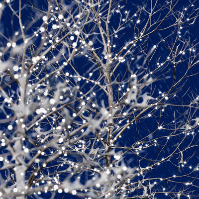 Trees in the snow with a luminous garland — Ver 7