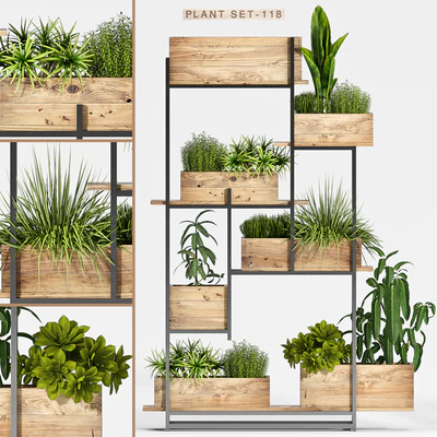 Plant set-118 — Вид 1