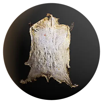 goat skin 001 — Descargar