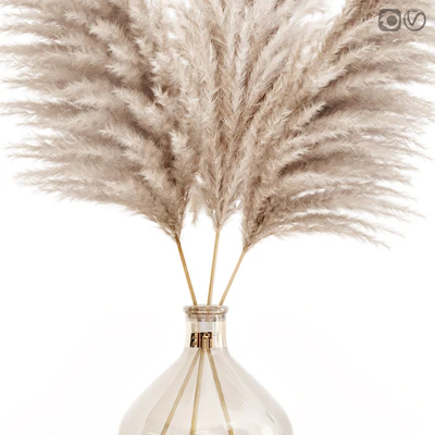 Pampas grass in glass vase 7 — Вид 4