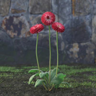 garden flowers 038 — Descargar