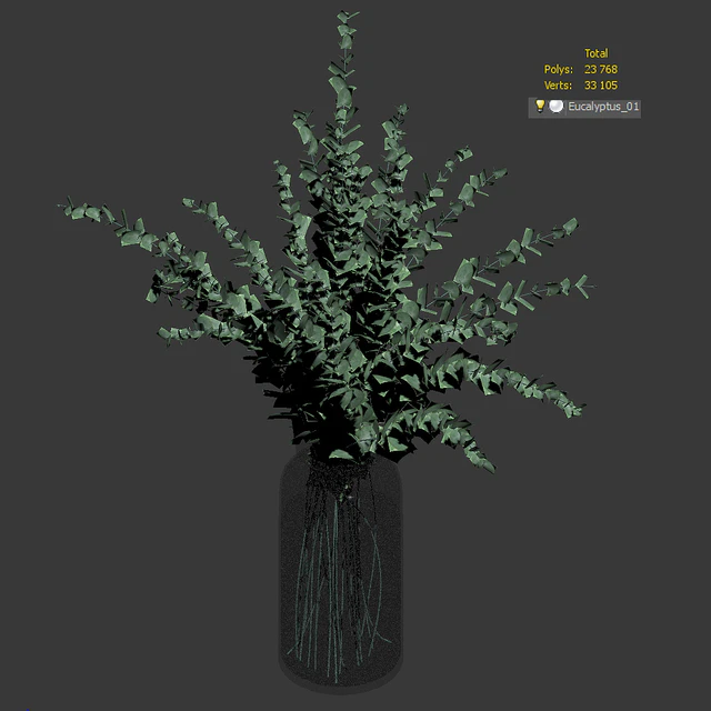 Bouquet of eucalyptus branches — Descargar
