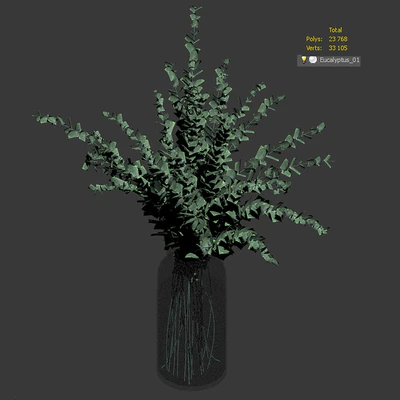 Bouquet of eucalyptus branches — Ver 3