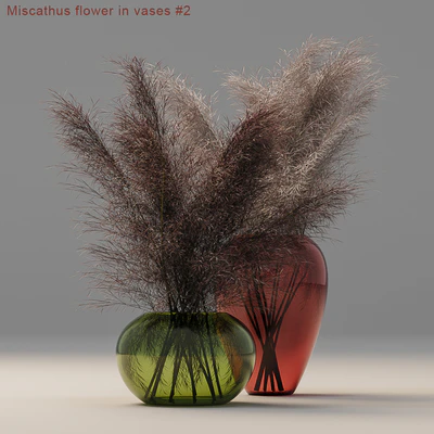 Miscathus flower in vases # 2 — Descargar