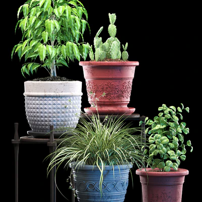 PLANTS 182 — Ver 2