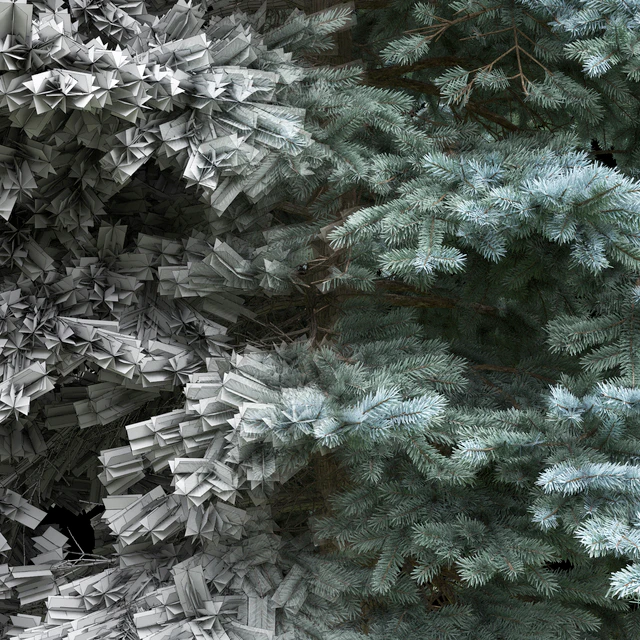 Spruce — Descargar