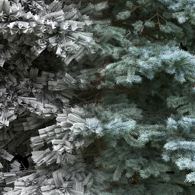 Spruce — Ver 3