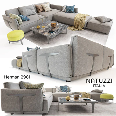 Natuzzi (Herman 2981) — Ver 1