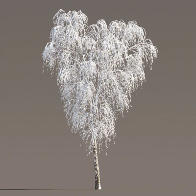 047 winter — Вид 2