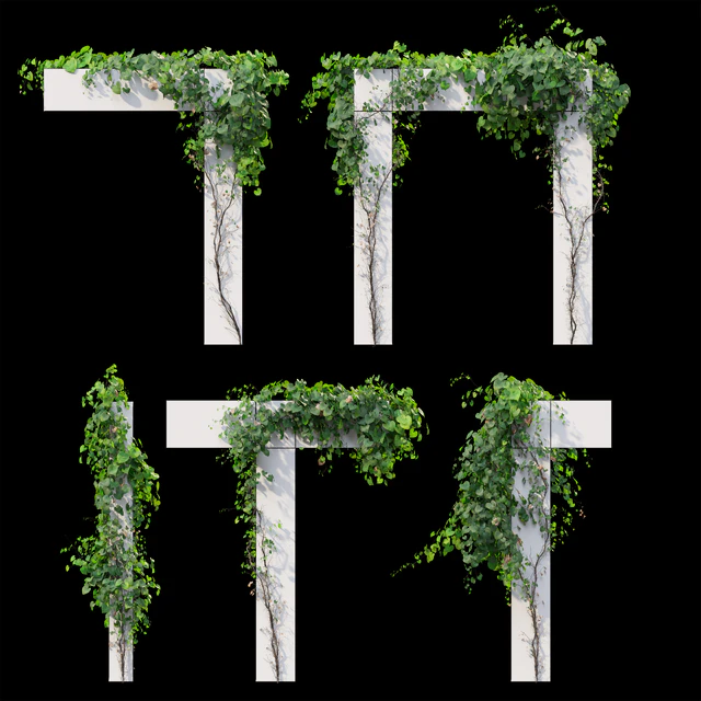 Vine Plant 11 — Скачать