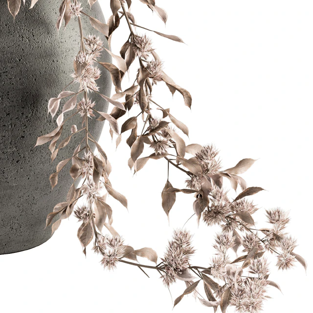 Bouquet - Dried Branch in Concrete vase 71 — Descargar