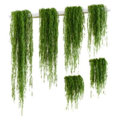 Plants for shelves. 6 items — Ver 1