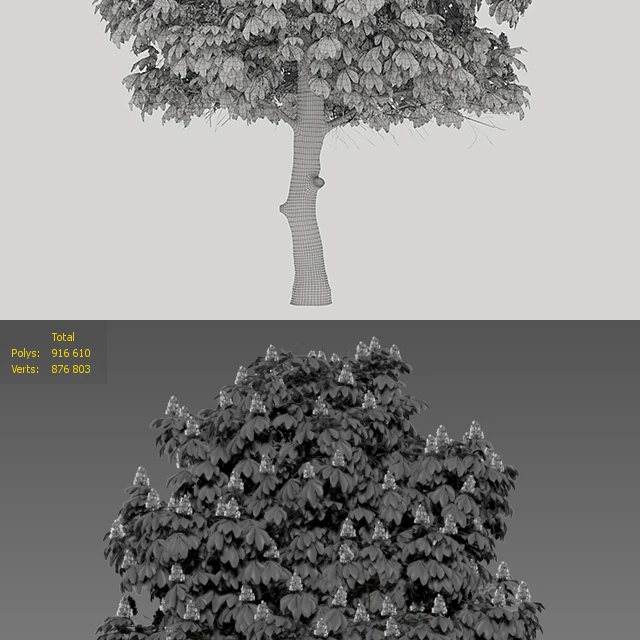 Chestnut — Descargar