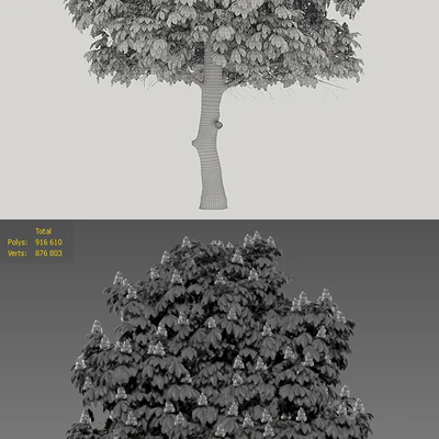 Chestnut — Ver 3