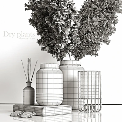 Decorative set with dry plants 4 — Ver 5