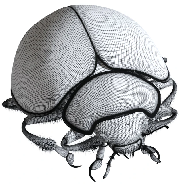 Ladybug (vray NEXT) — Descargar
