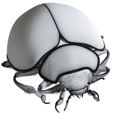 Ladybug (vray NEXT) — Ver 3