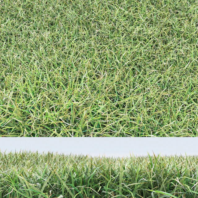 grass — Descargar