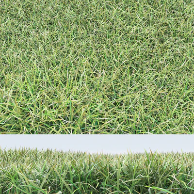 grass — Ver 1