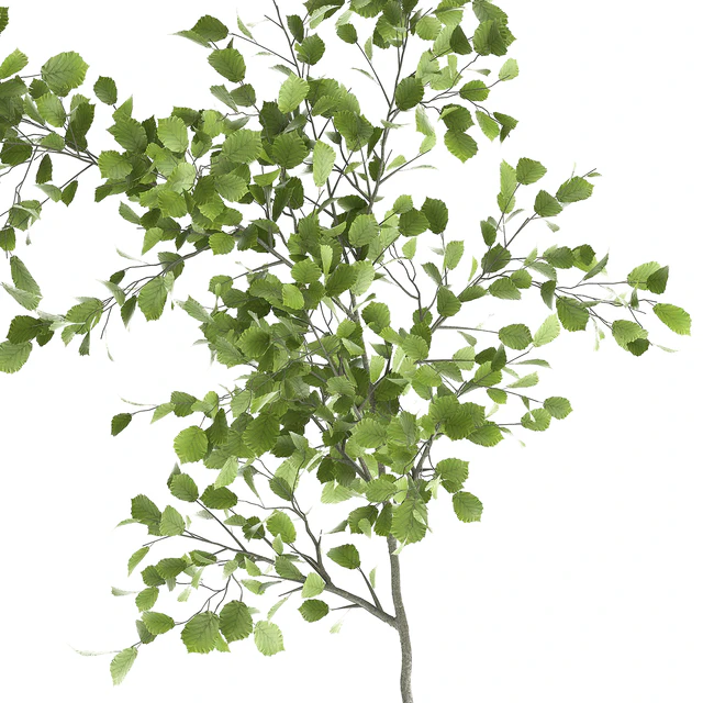 Decorative small Linden tree, Hazel in a rusty metal pot. Set 953. — Descargar