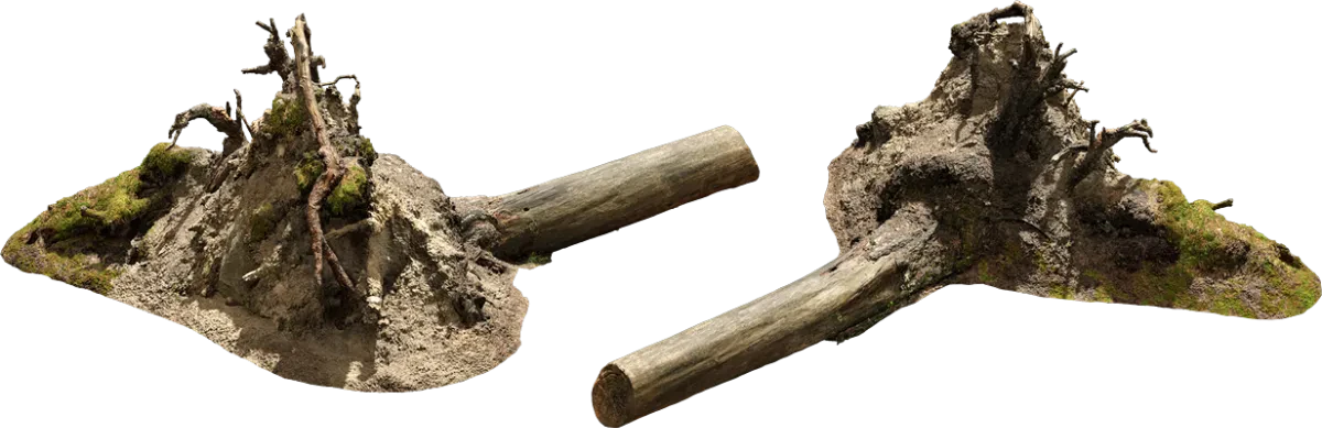nordic forest tree uprooted small 001 — Descargar