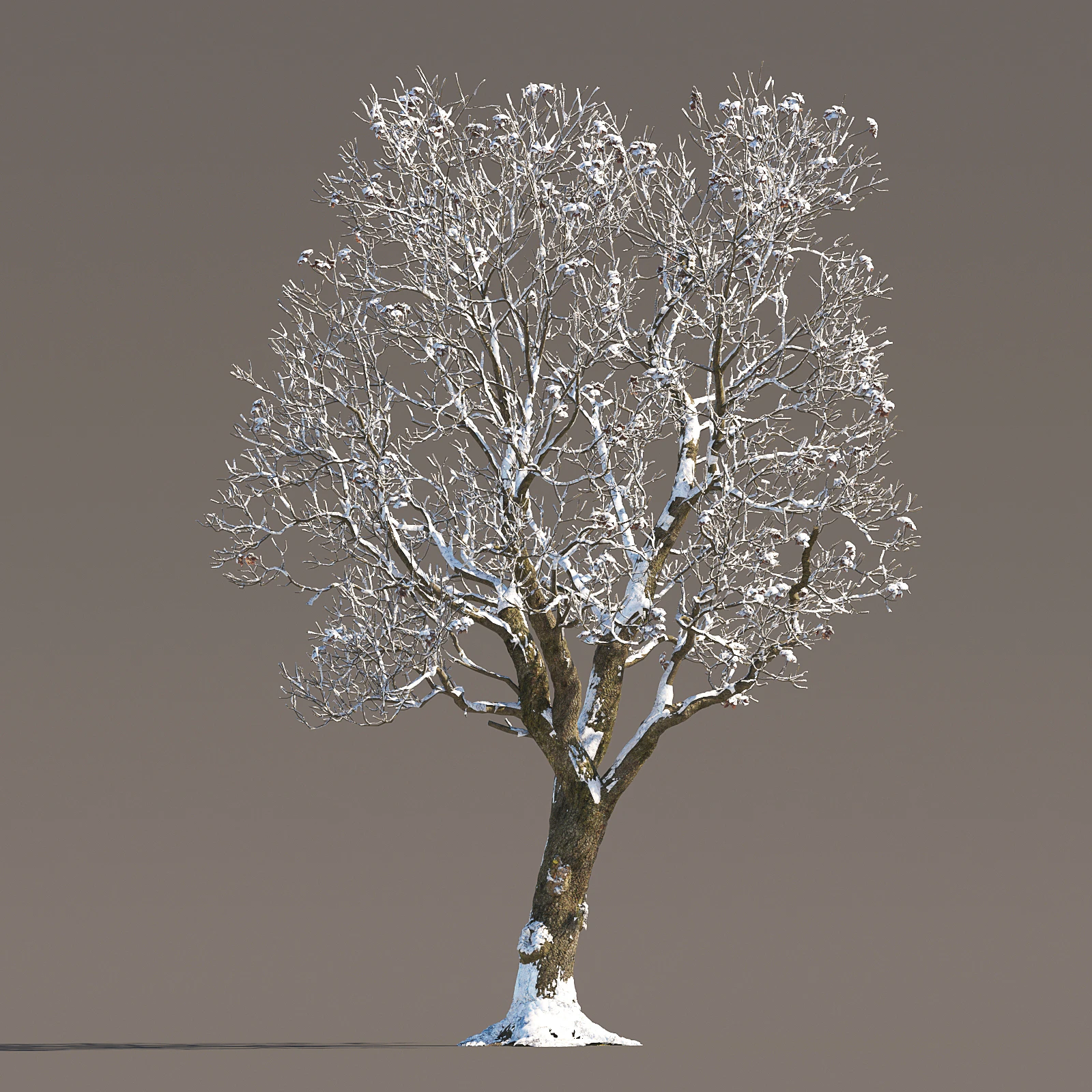 056 winter — Descargar